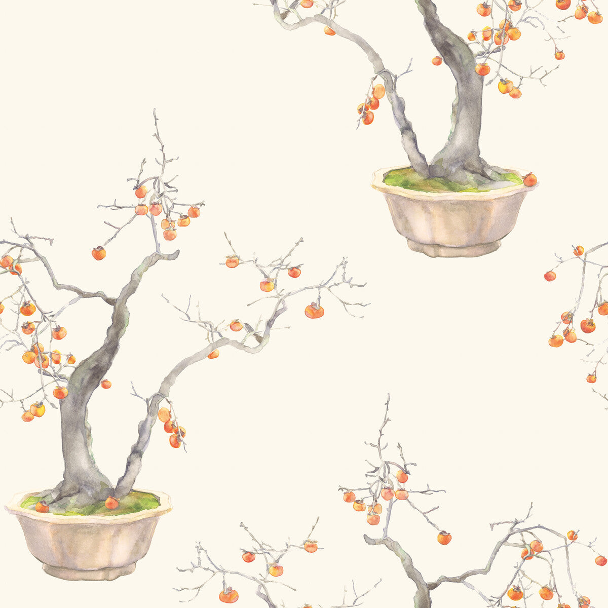 Kaki Persimmon-Bergamot