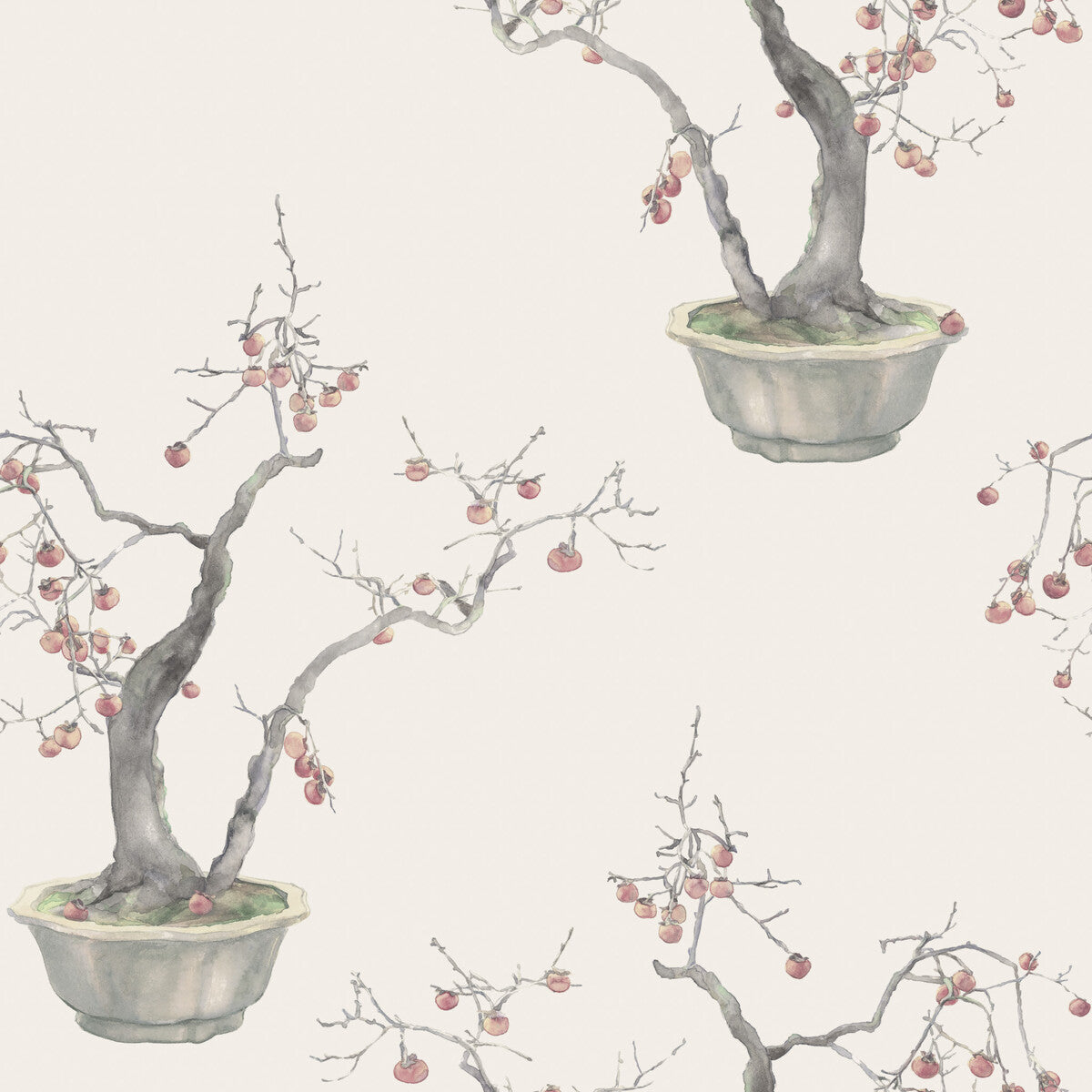 Kaki Persimmon-Silver