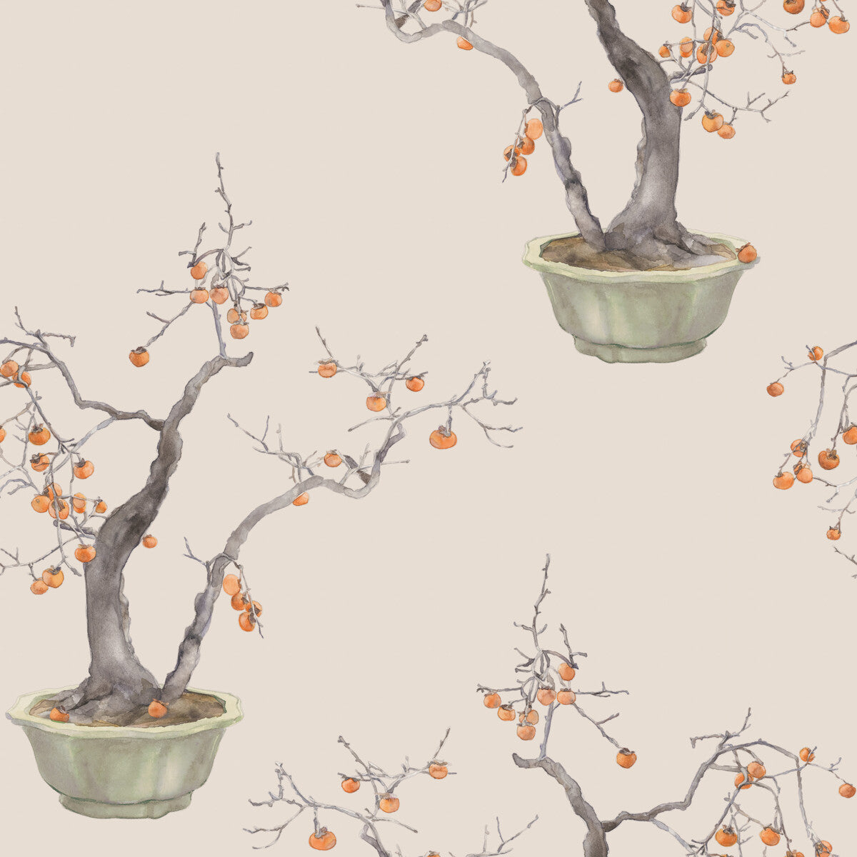 Kaki Persimmon-Violet