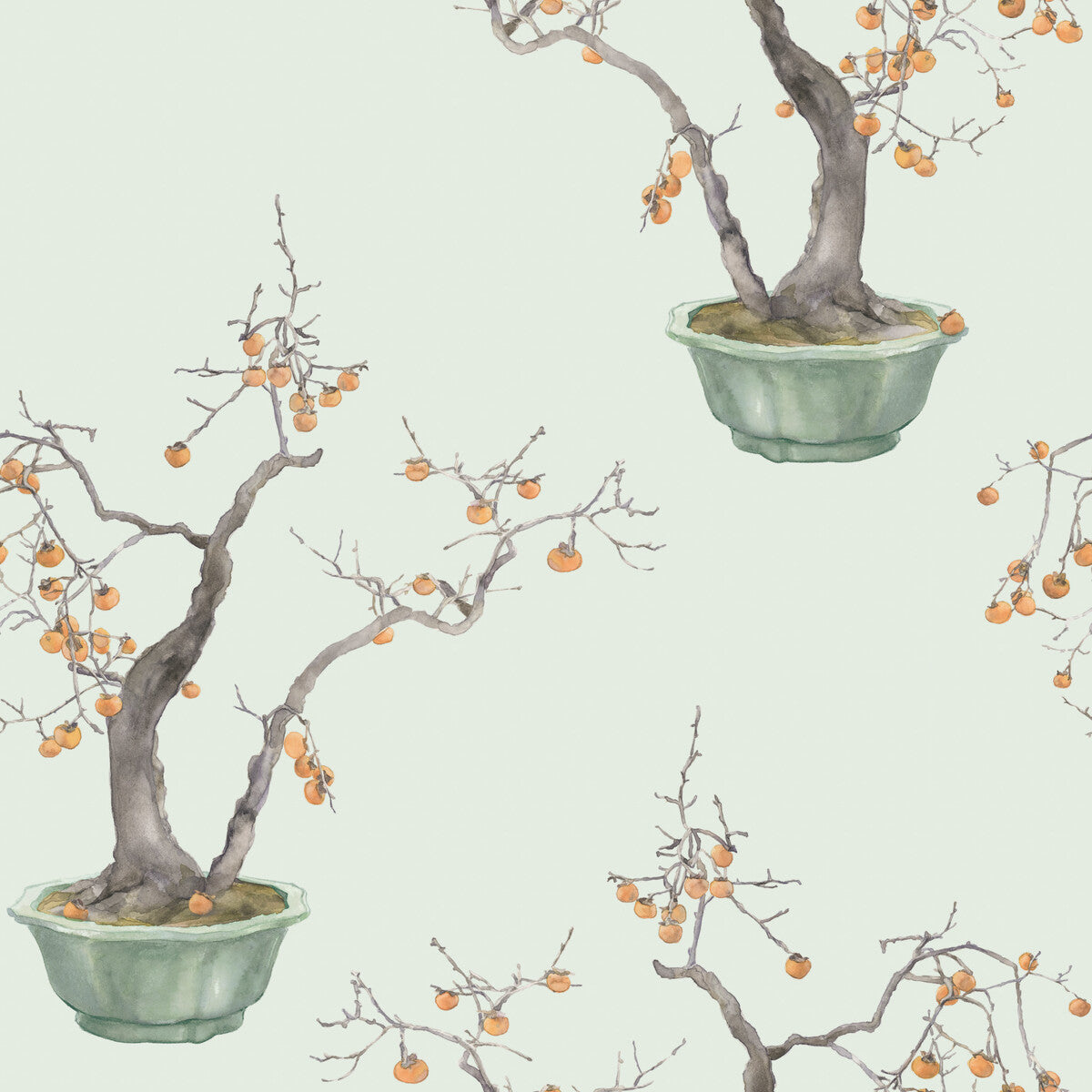 Kaki Persimmon-Jade Green