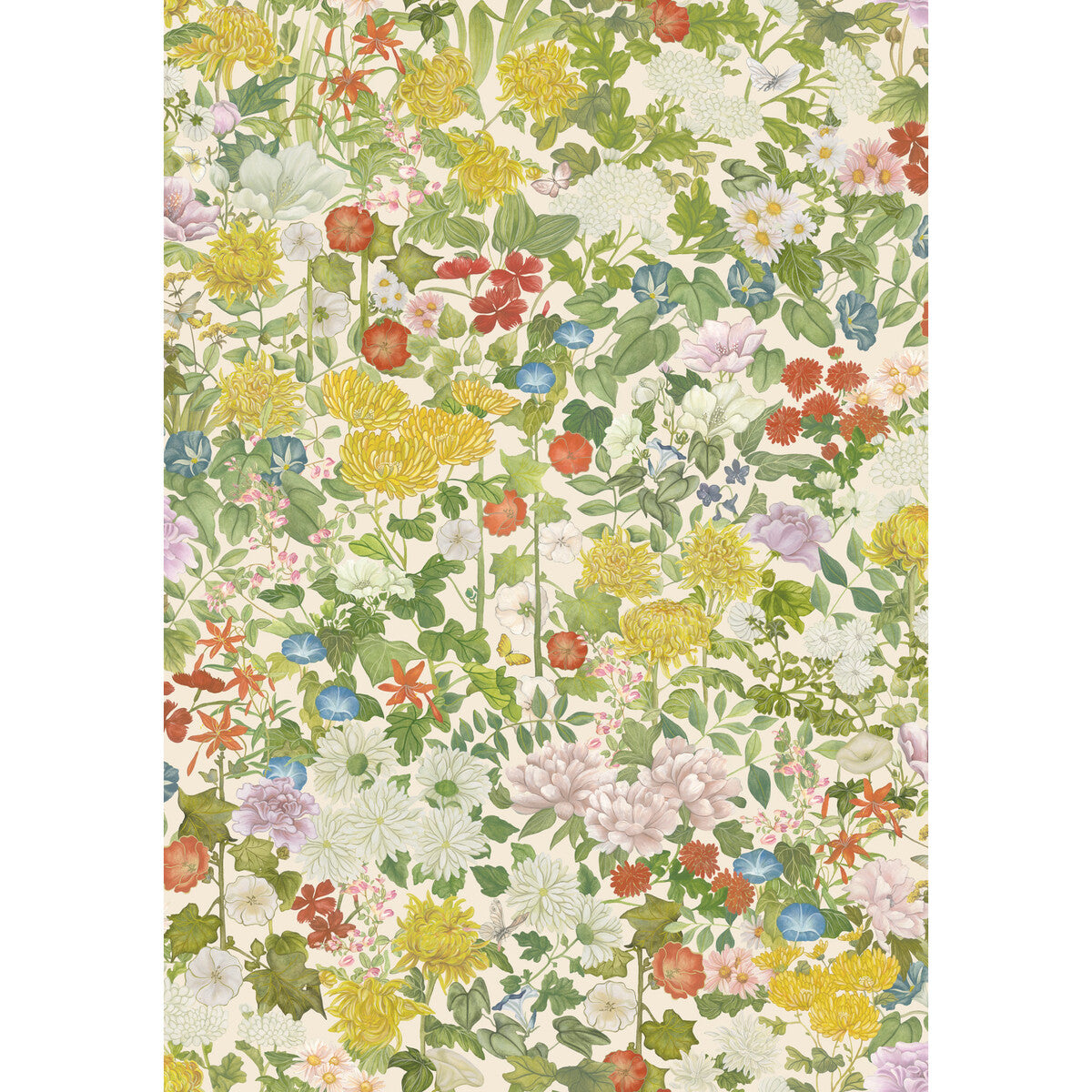 Flora Province-Neutral