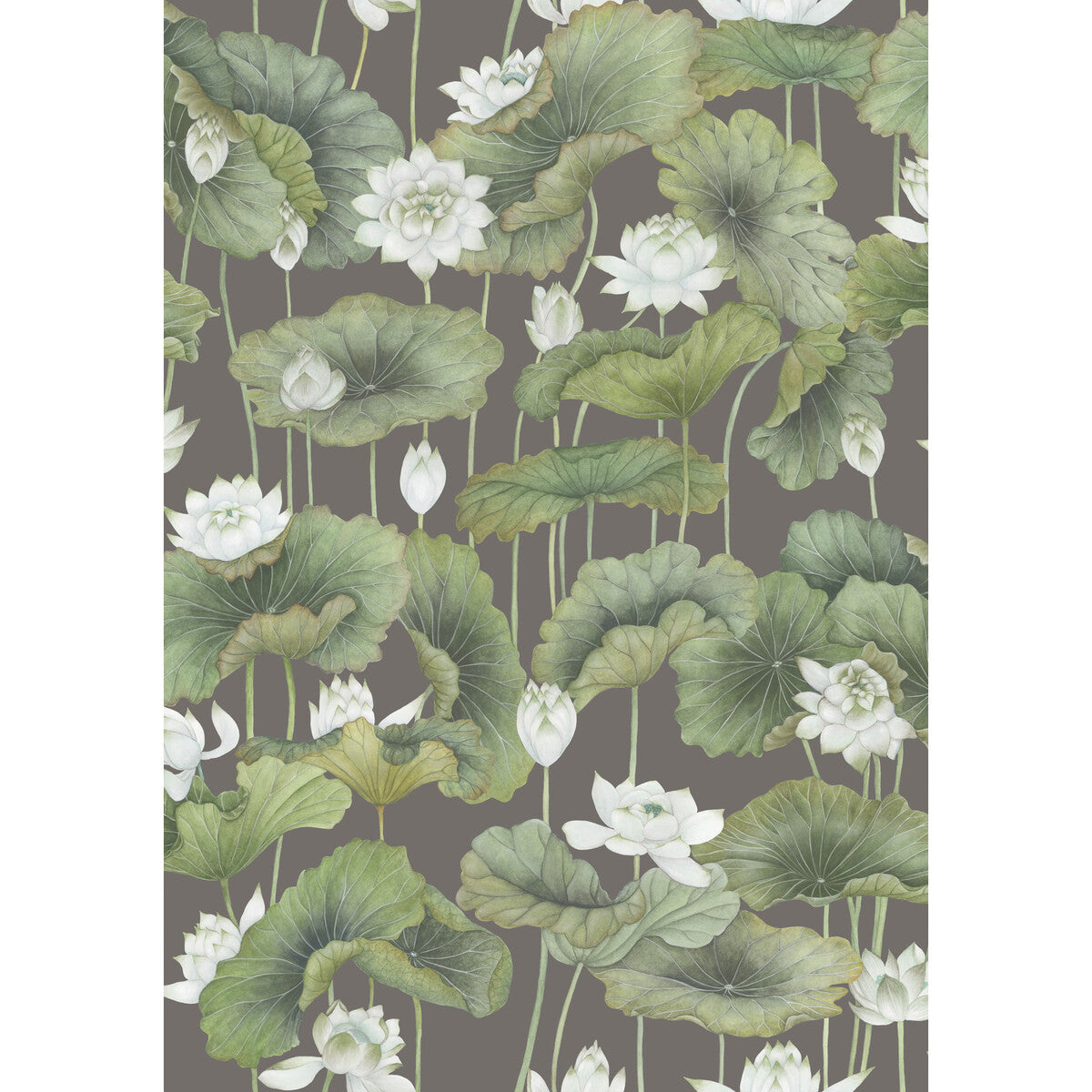 Lily Lotus-White/Charcoal