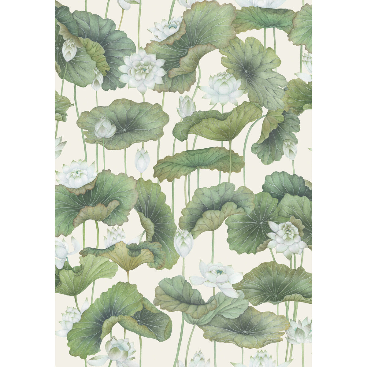 Lily Lotus-White/Cream