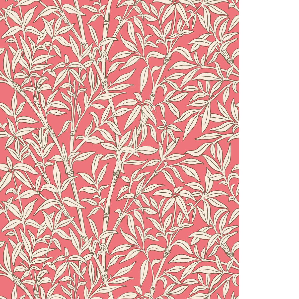 Bamboo Forest-Chalk/Rouge