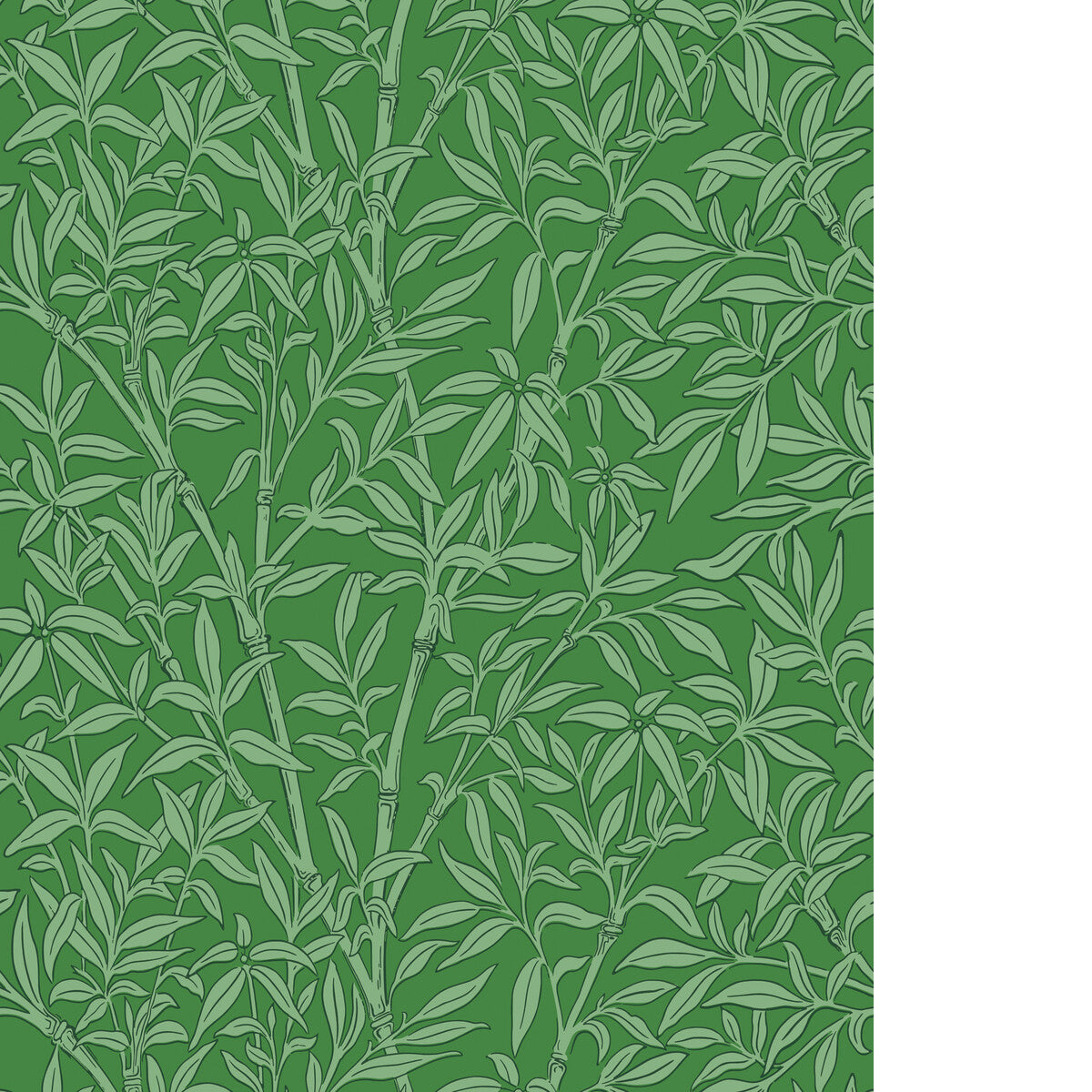 Bamboo Forest-Emerald