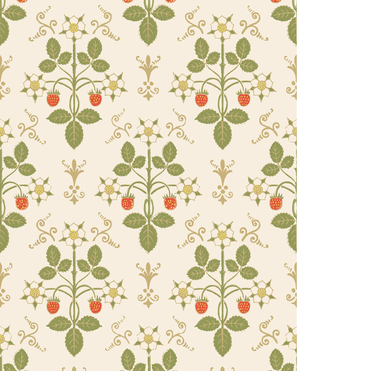 Strawberry-Poppy/Green