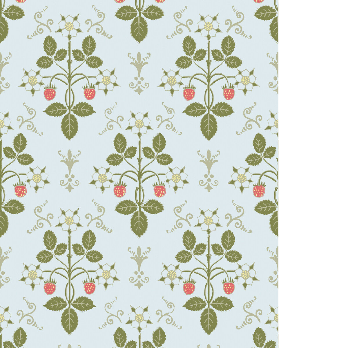 Strawberry-Olive/Blue