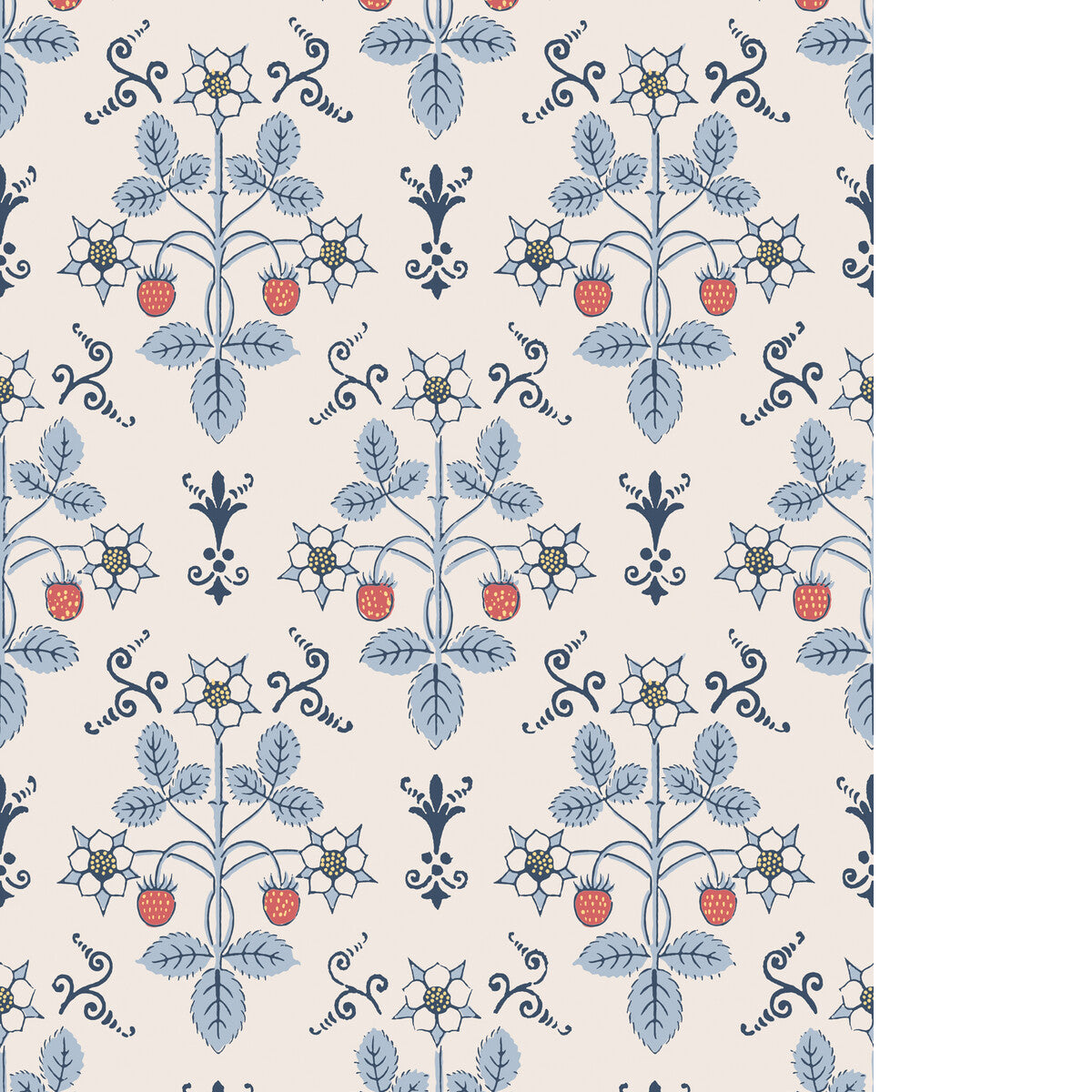 Strawberry-Blue/Cream