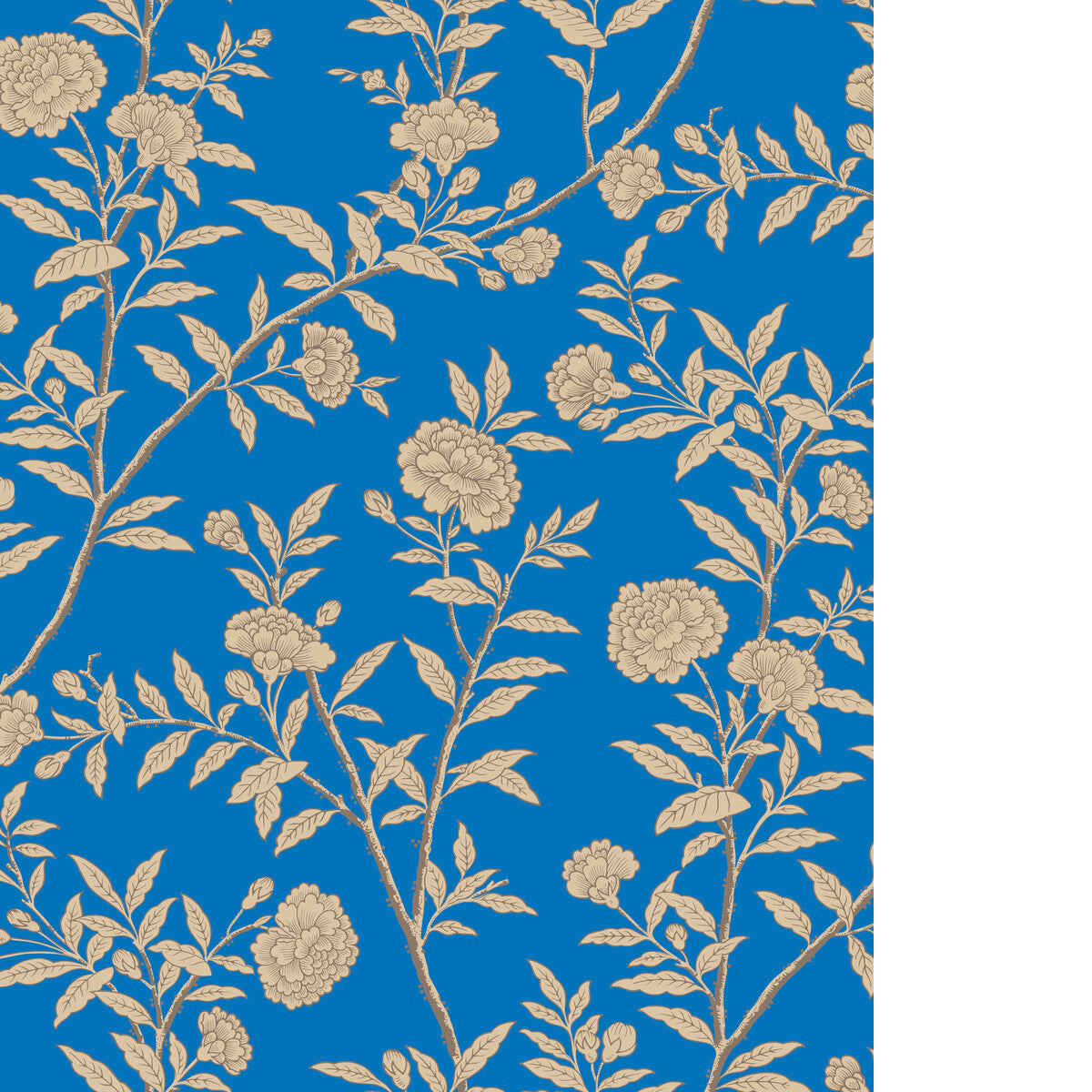 Roseberry-Cobalt