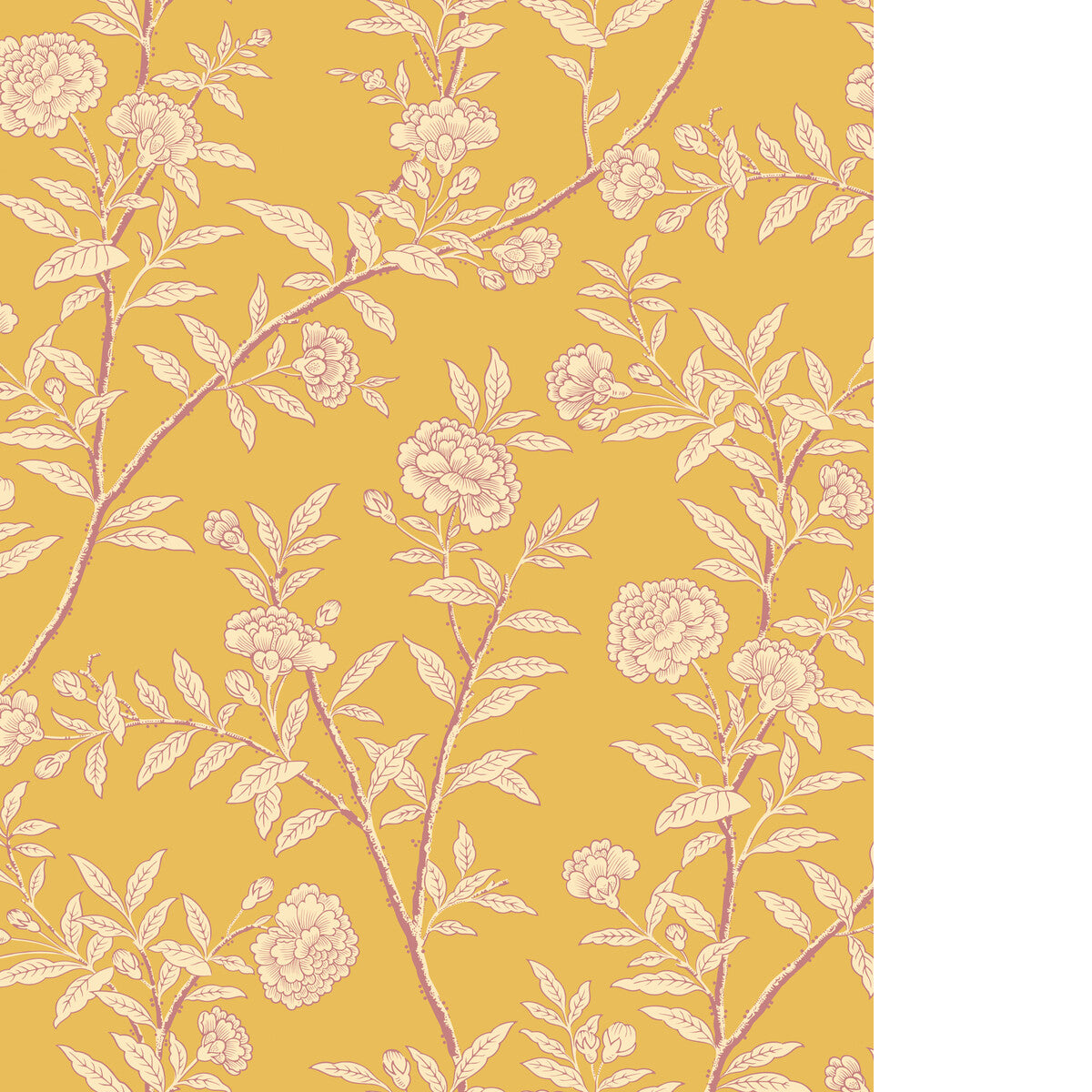 Roseberry-Marigold