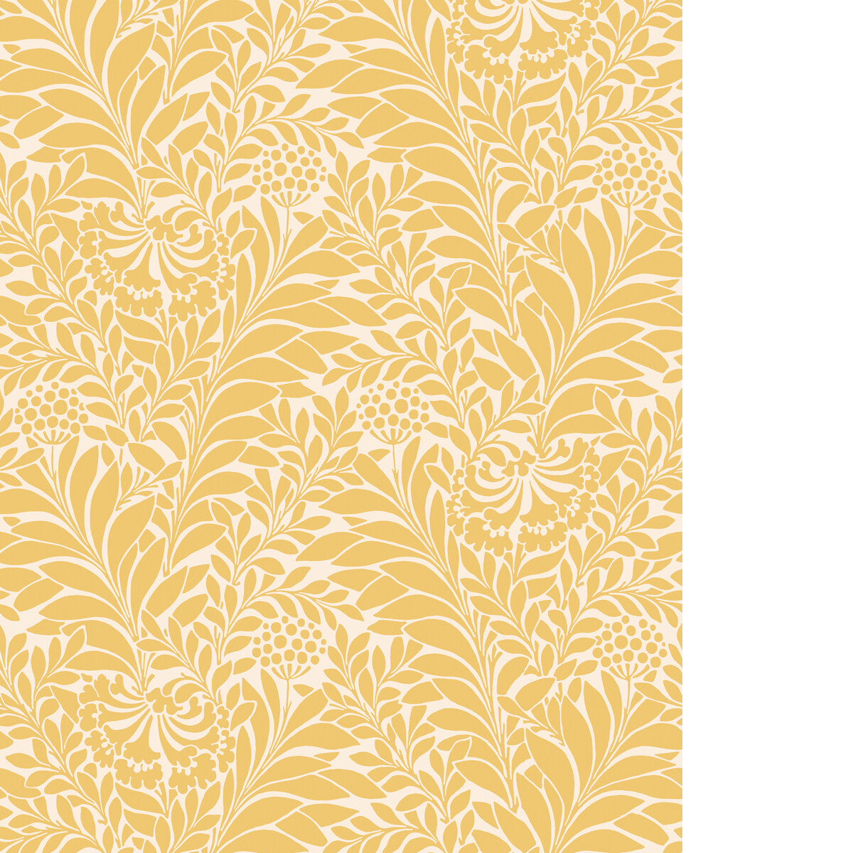 Honeysuckle-Daffodil