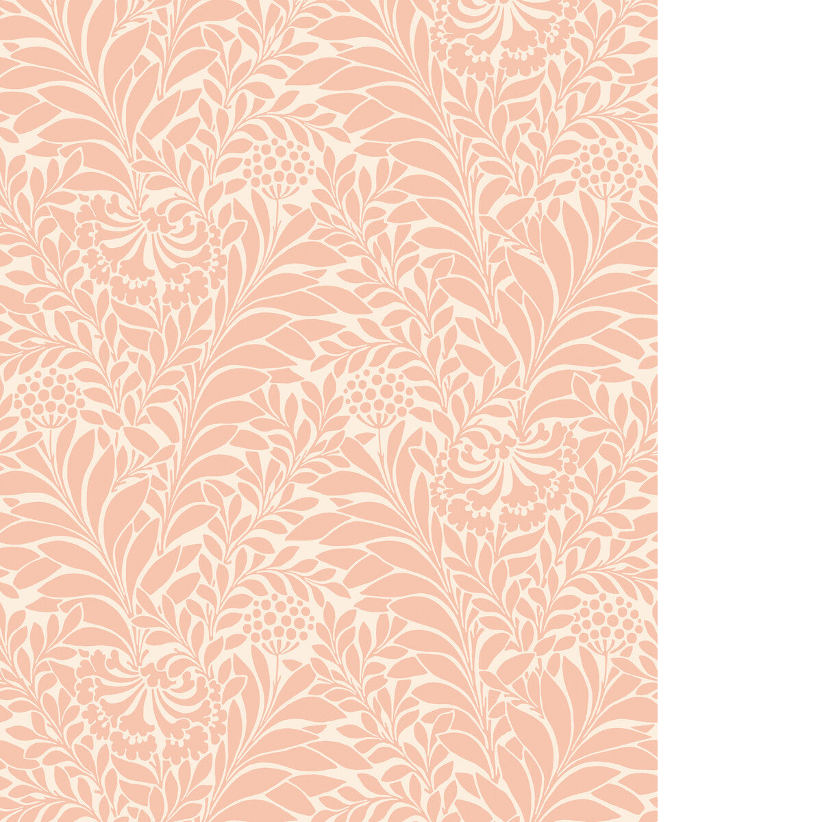 Honeysuckle-Blush