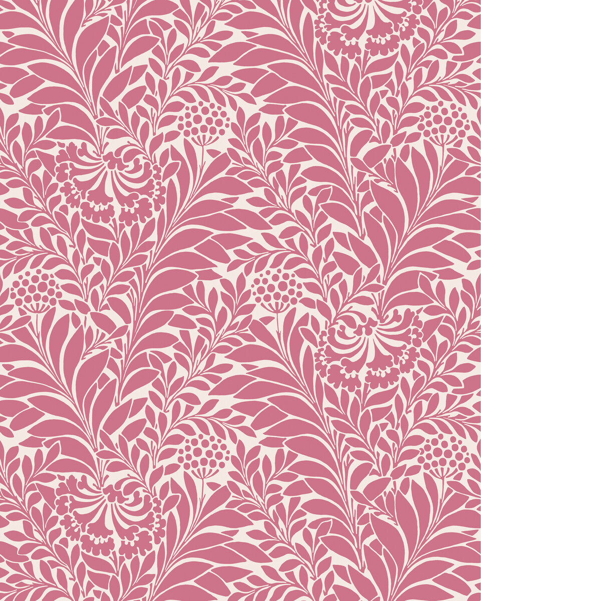Honeysuckle-Raspberry
