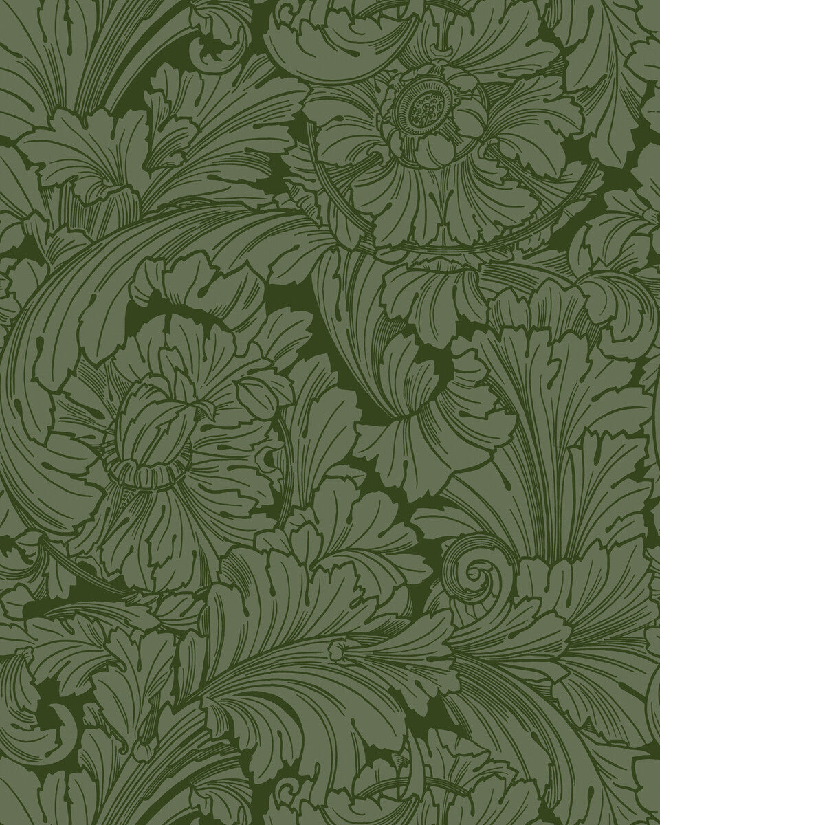 Acanthus-Forest