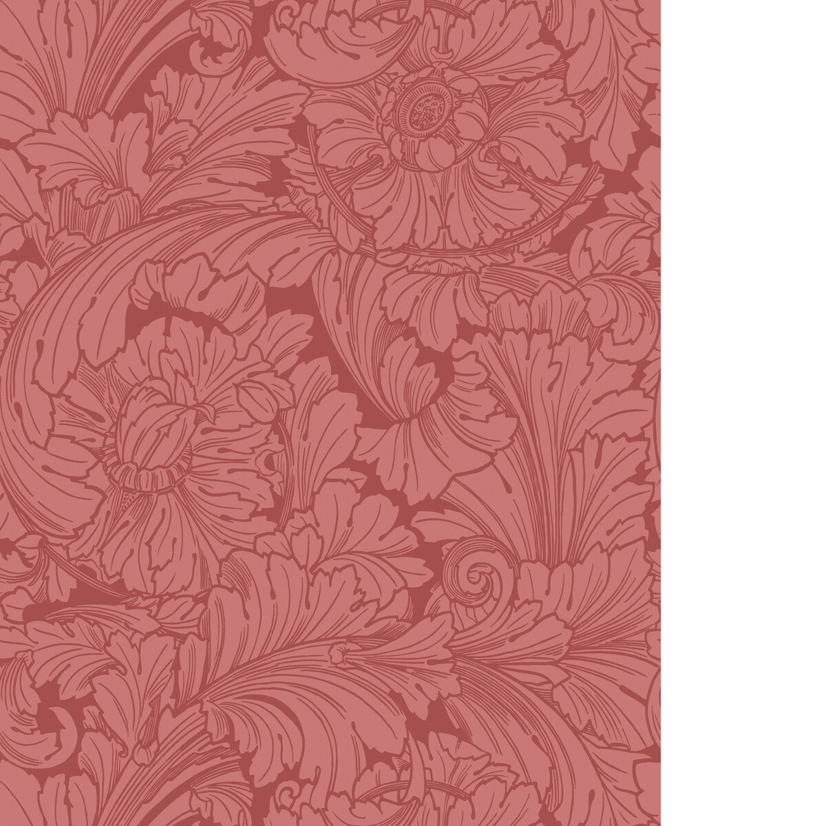 Acanthus-Stately Home Red