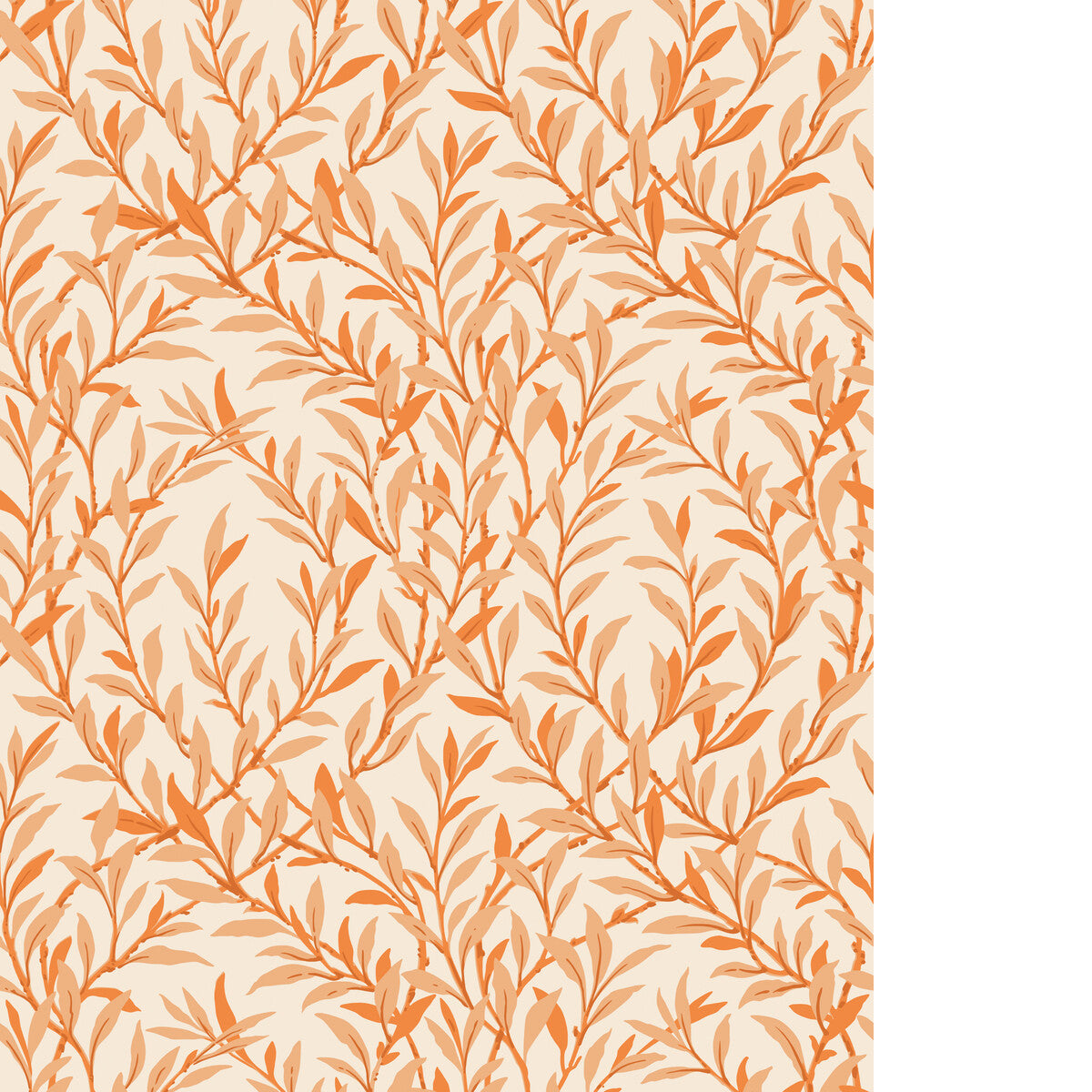 Willow Branch-Tangerine/Cream