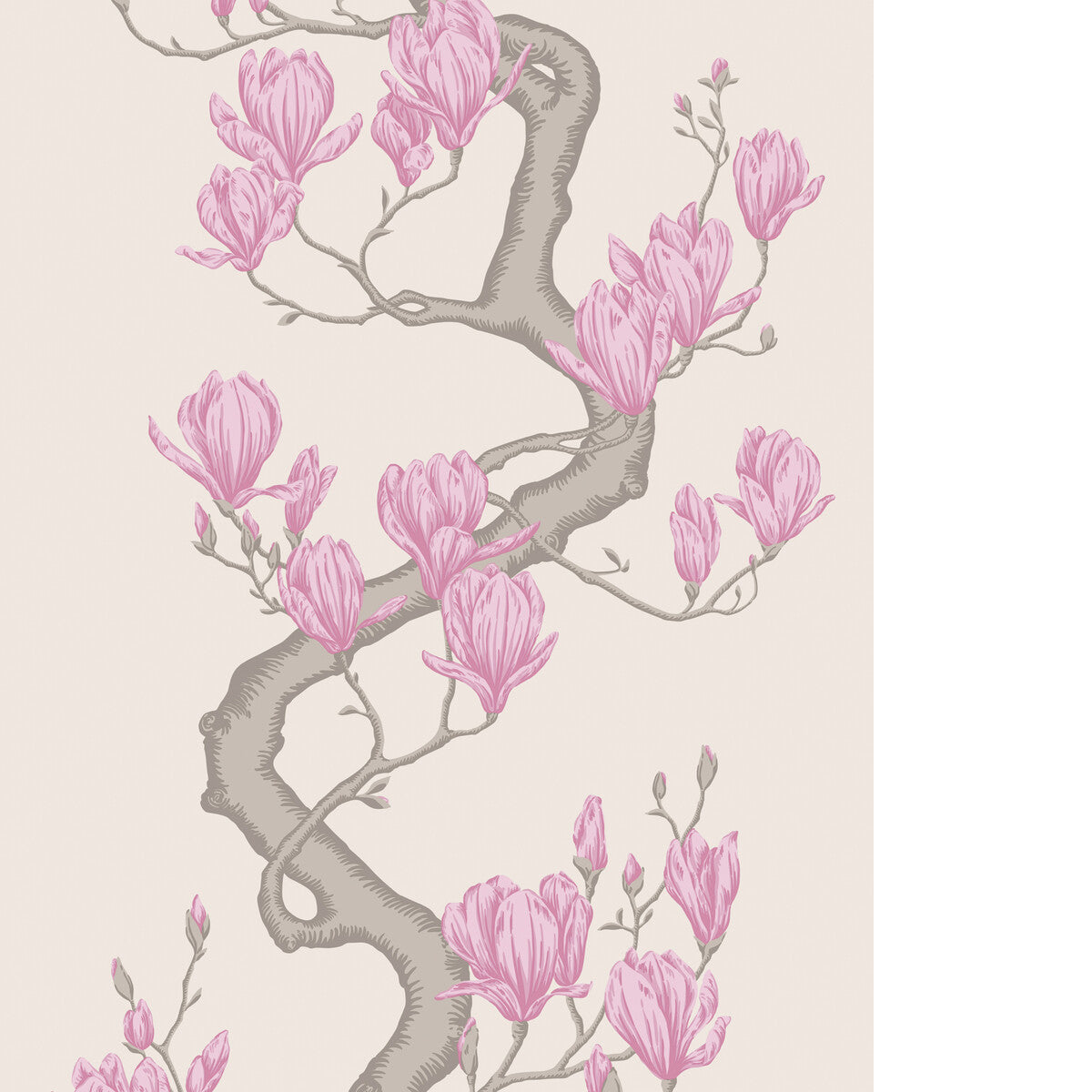 Magnolia Tree-Parchment