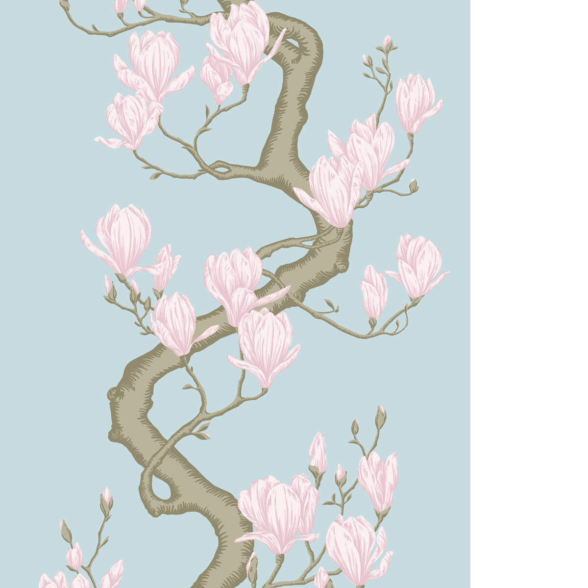 Magnolia Tree-Sky Blue