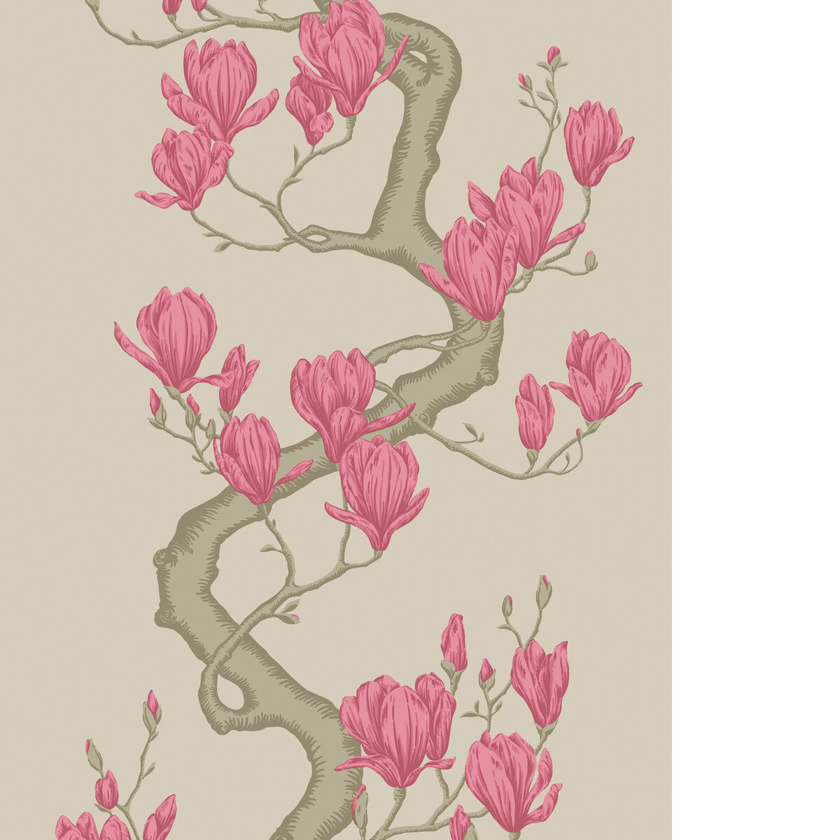 Magnolia Tree-Magenta