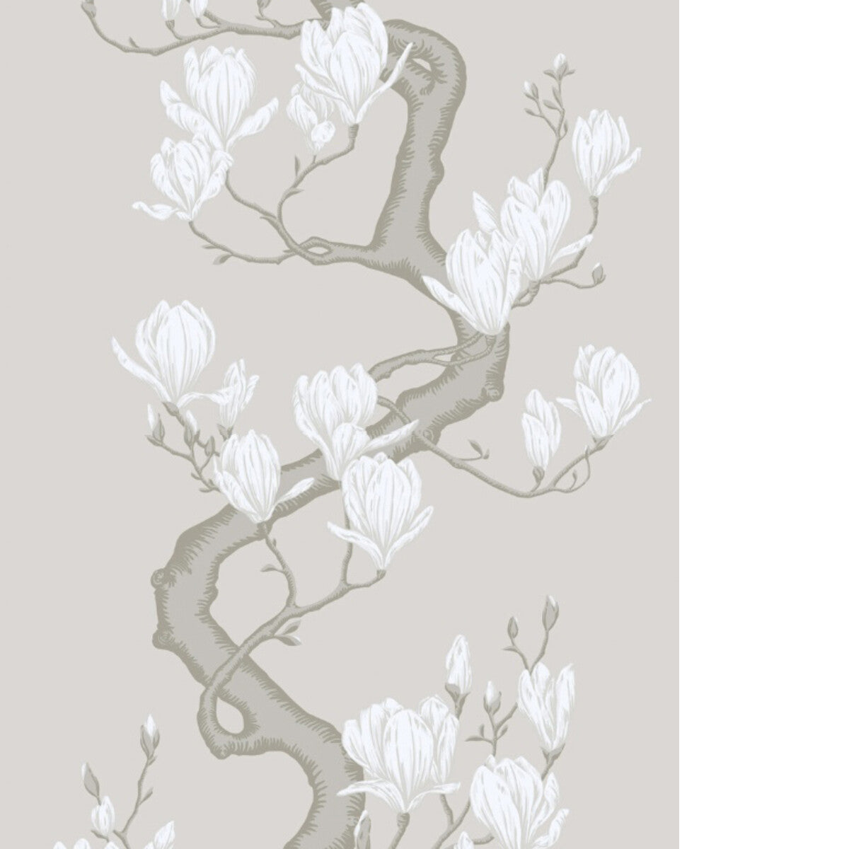 Magnolia Tree-Non Slub