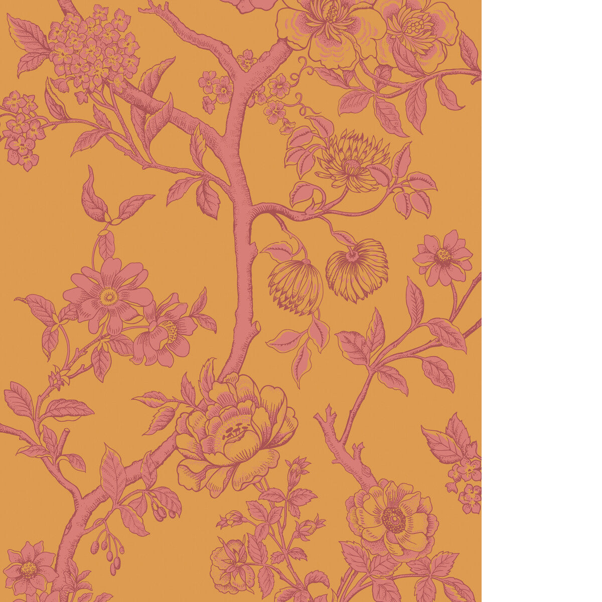 Paradise Tree-Tangerine