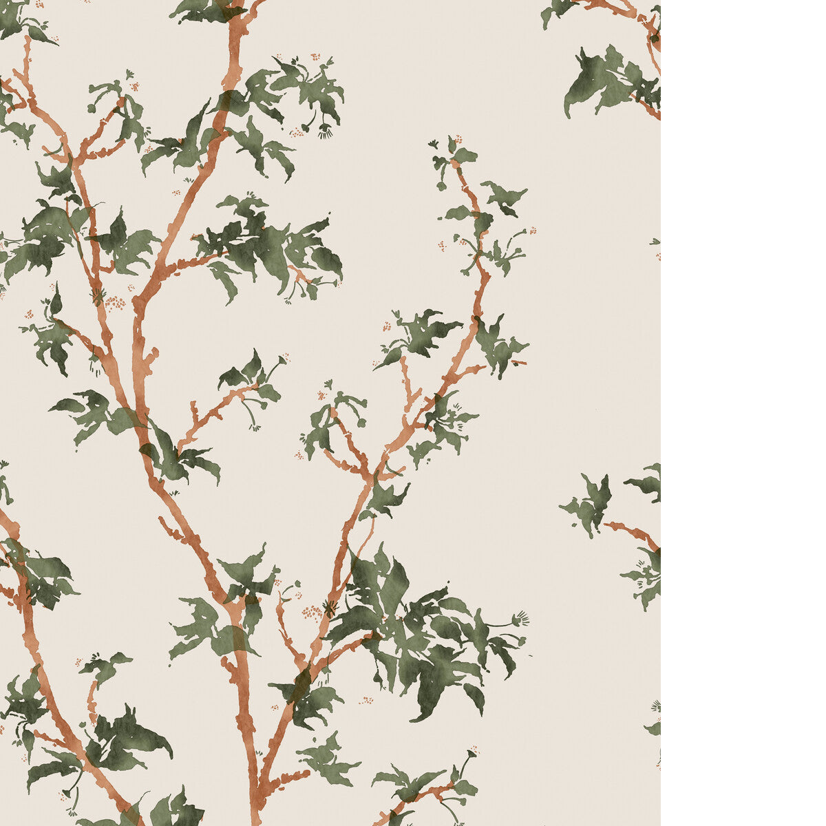 Chinese Branch-Leaf Green