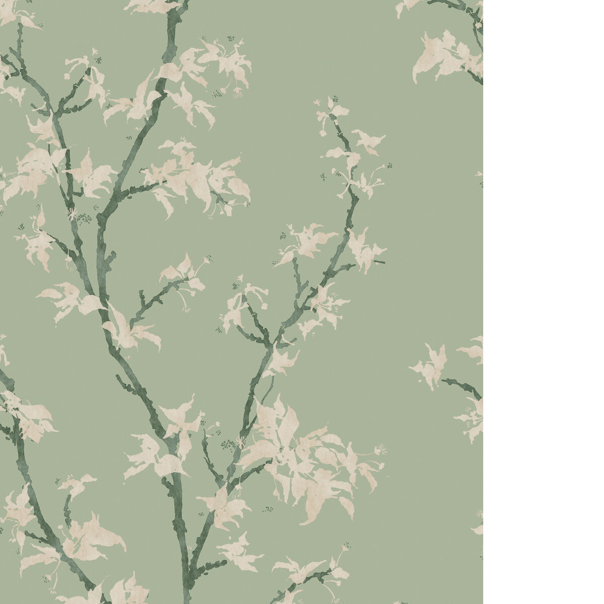 Chinese Branch-Sage