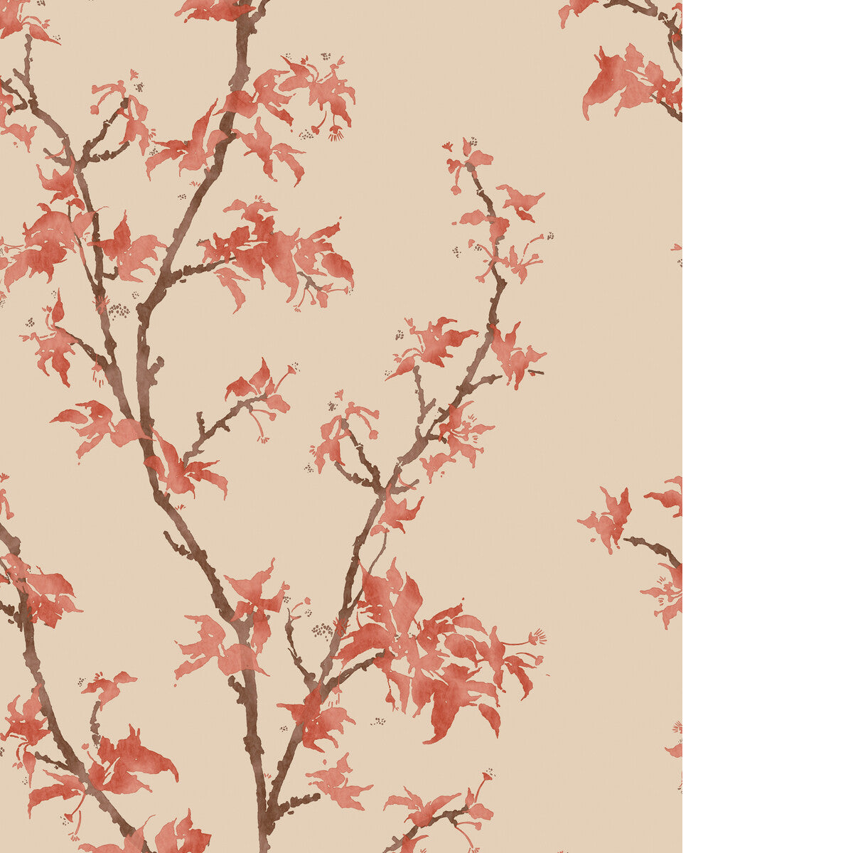 Chinese Branch-Ginger