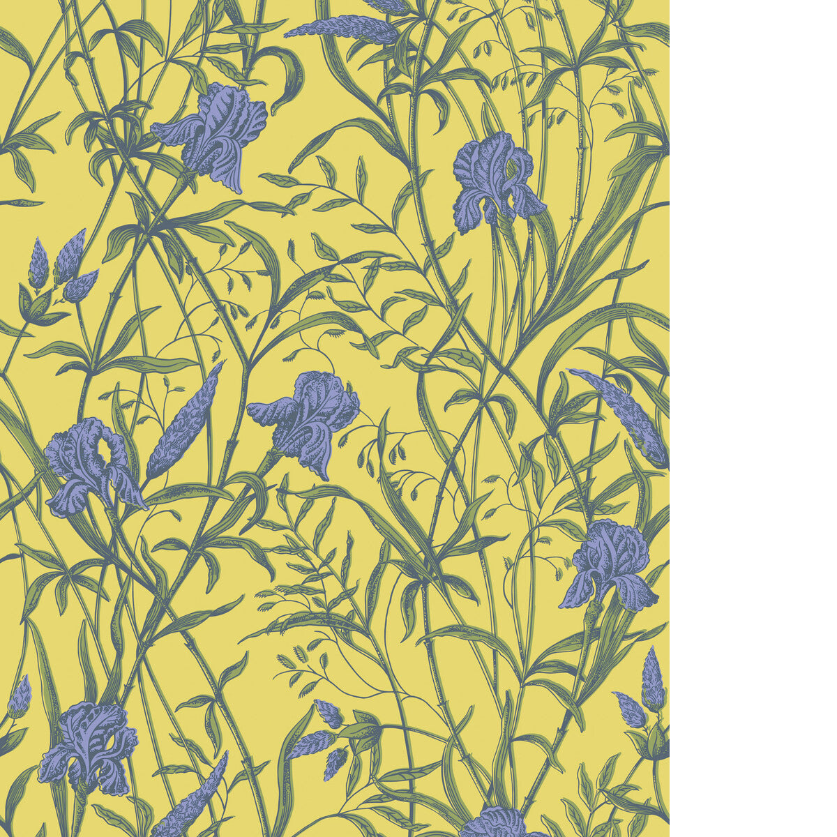 Iris-Violet On Citrine