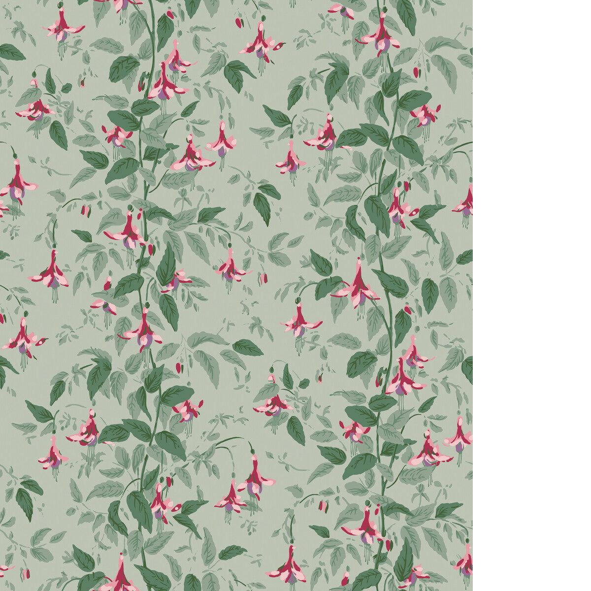 Fuschia-Dusty Rose