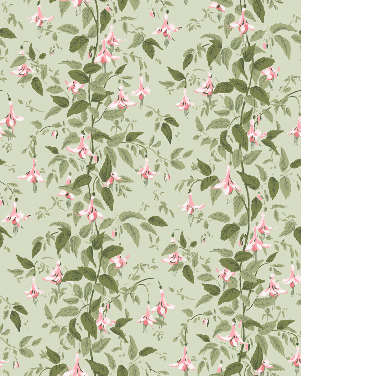Fuschia-Powder Pink