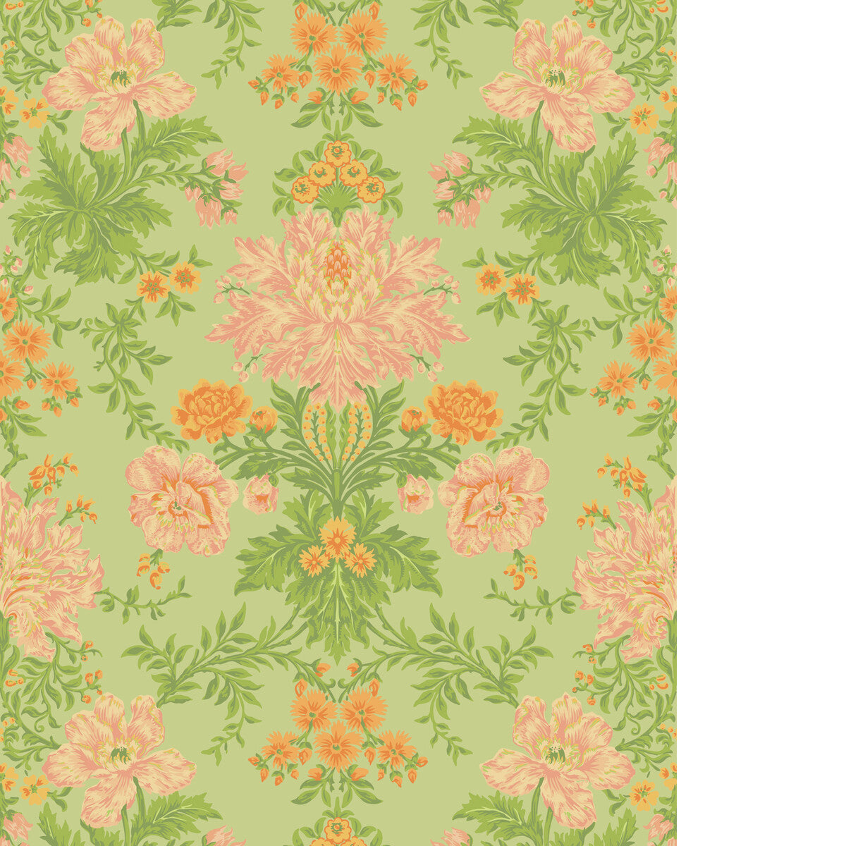 Poppies-Peach