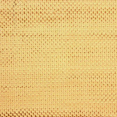 Leith Checkers-Bisque