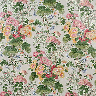 Hollyhock Hdb-White/Pink