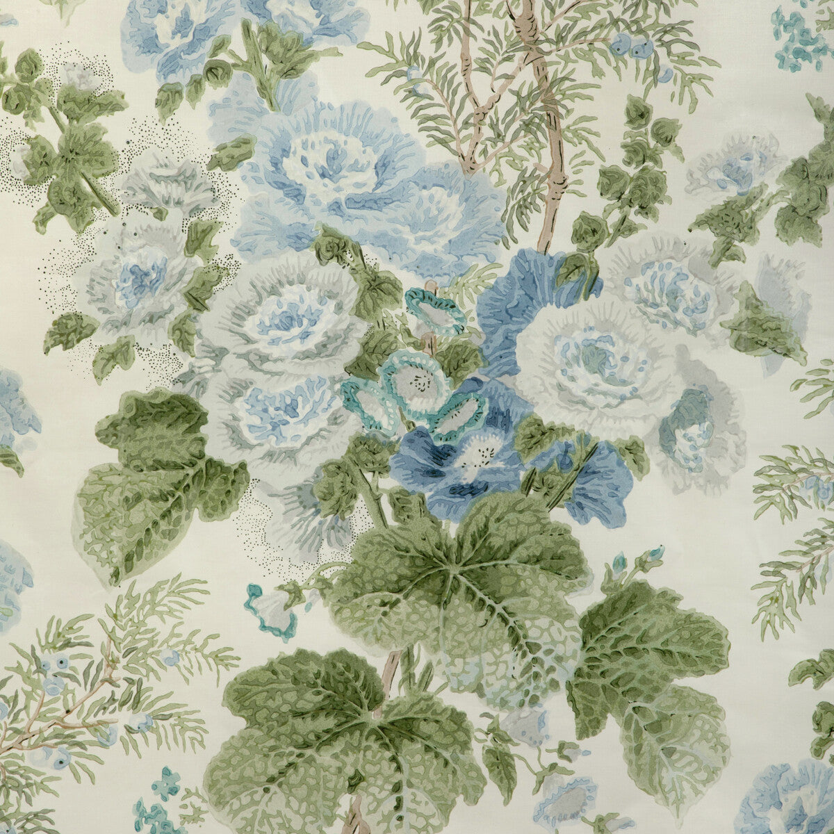 Hollyhock Hdb-Blue/Leaf