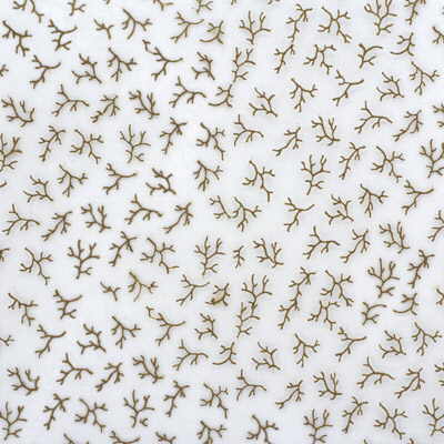 Oceana Sheer-Bronze