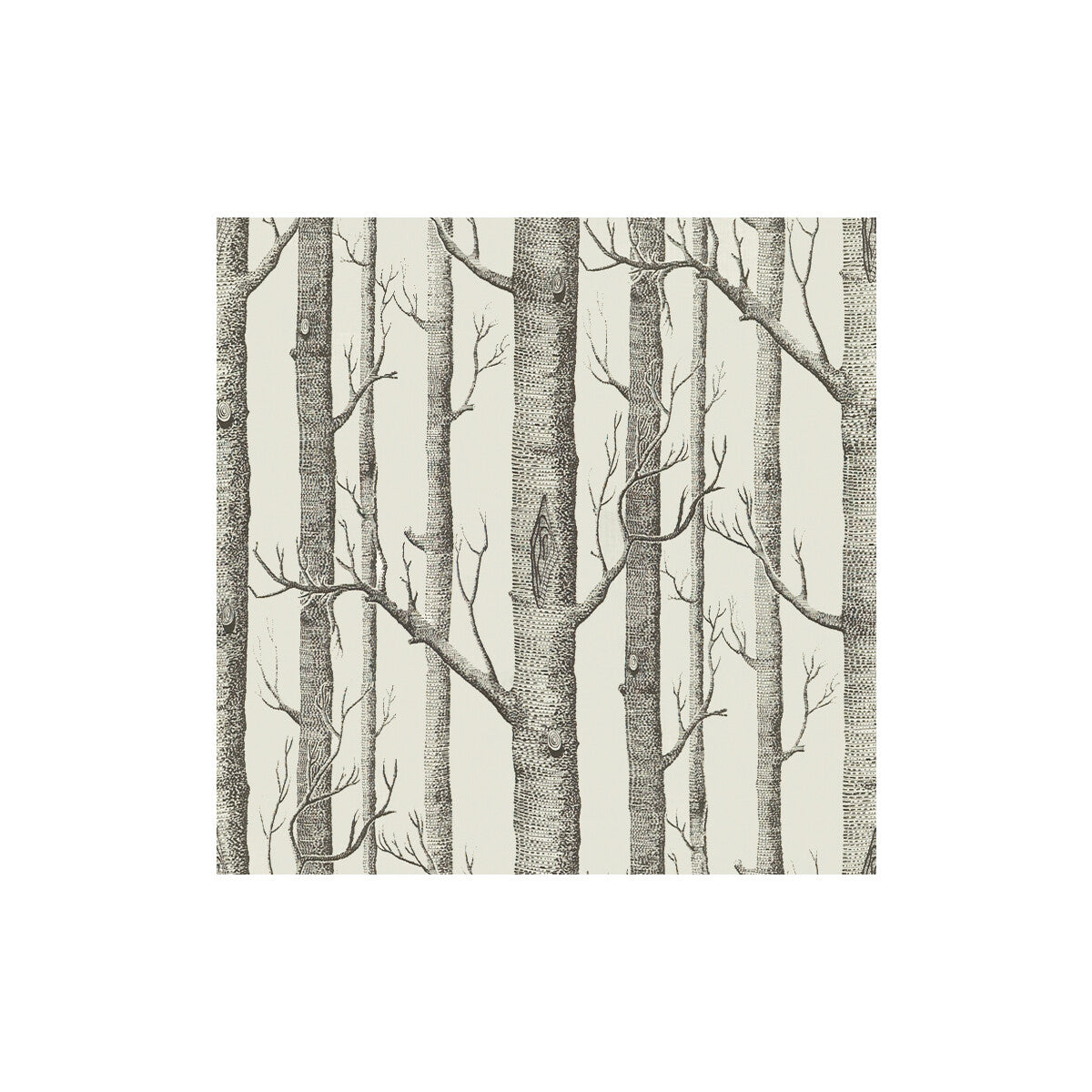 Woods Print-Graphite