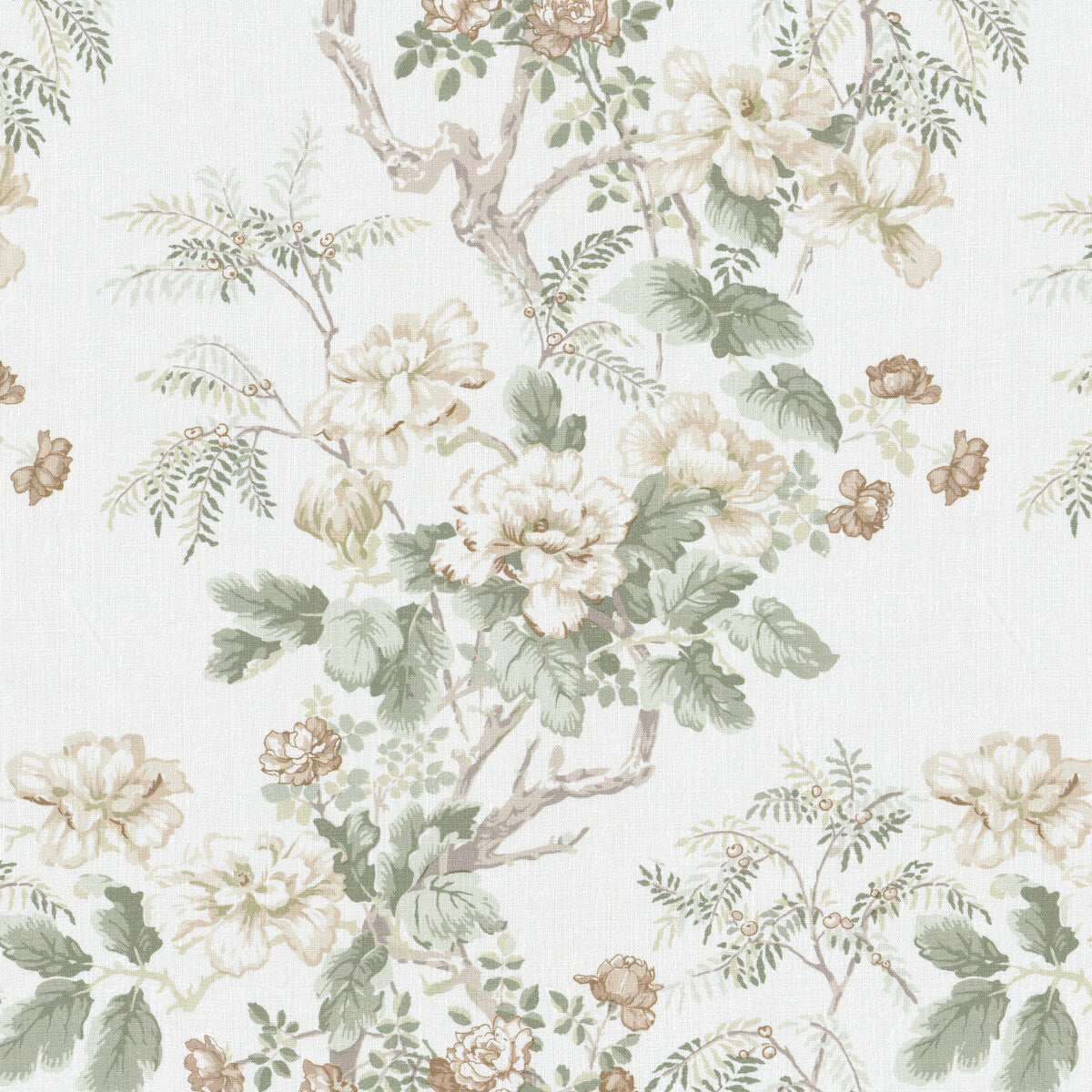 Chinese Peony-Beige