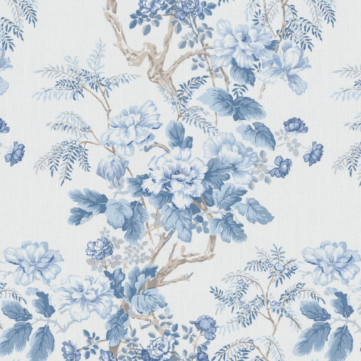 Chinese Peony-Horizon