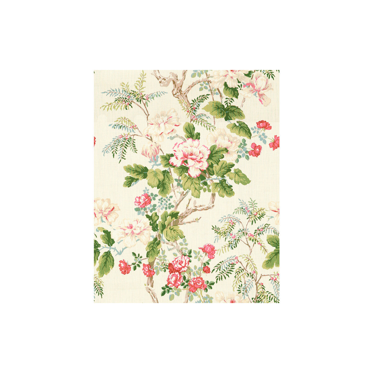 Chinese Peony-Rose