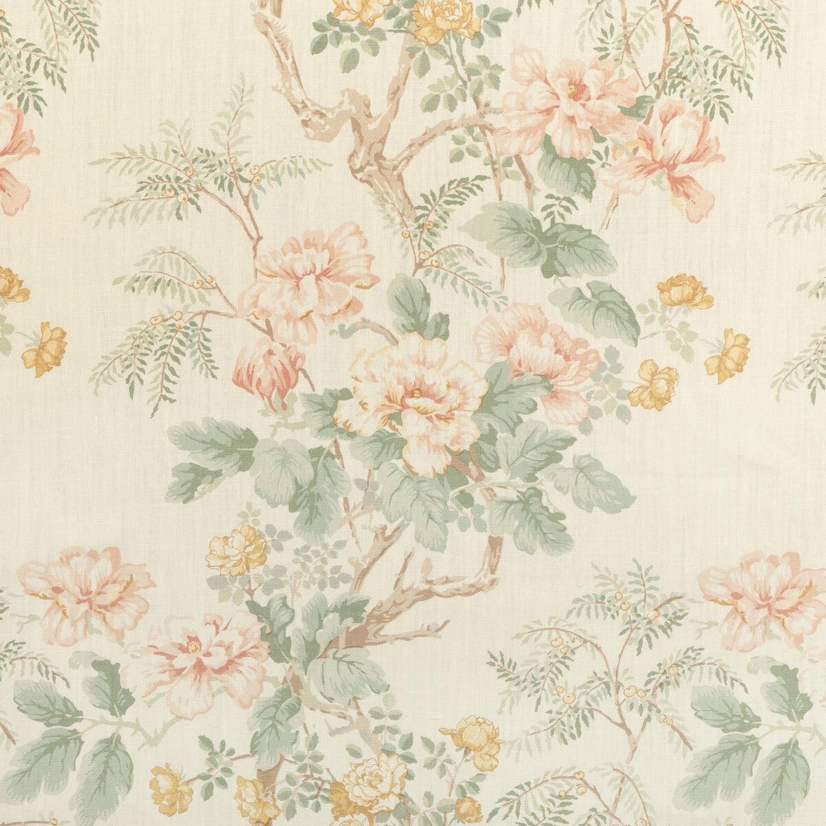 Chinese Peony-Blush