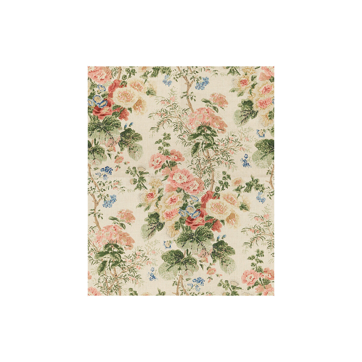 Hollyhock Hdb-Multi