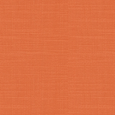 Adele Solid-Pumpkin