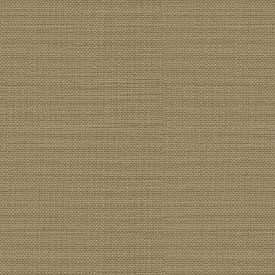 Adele Solid-Mocha