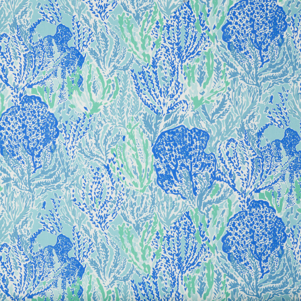 Let's Cha Cha-Shorely Blue