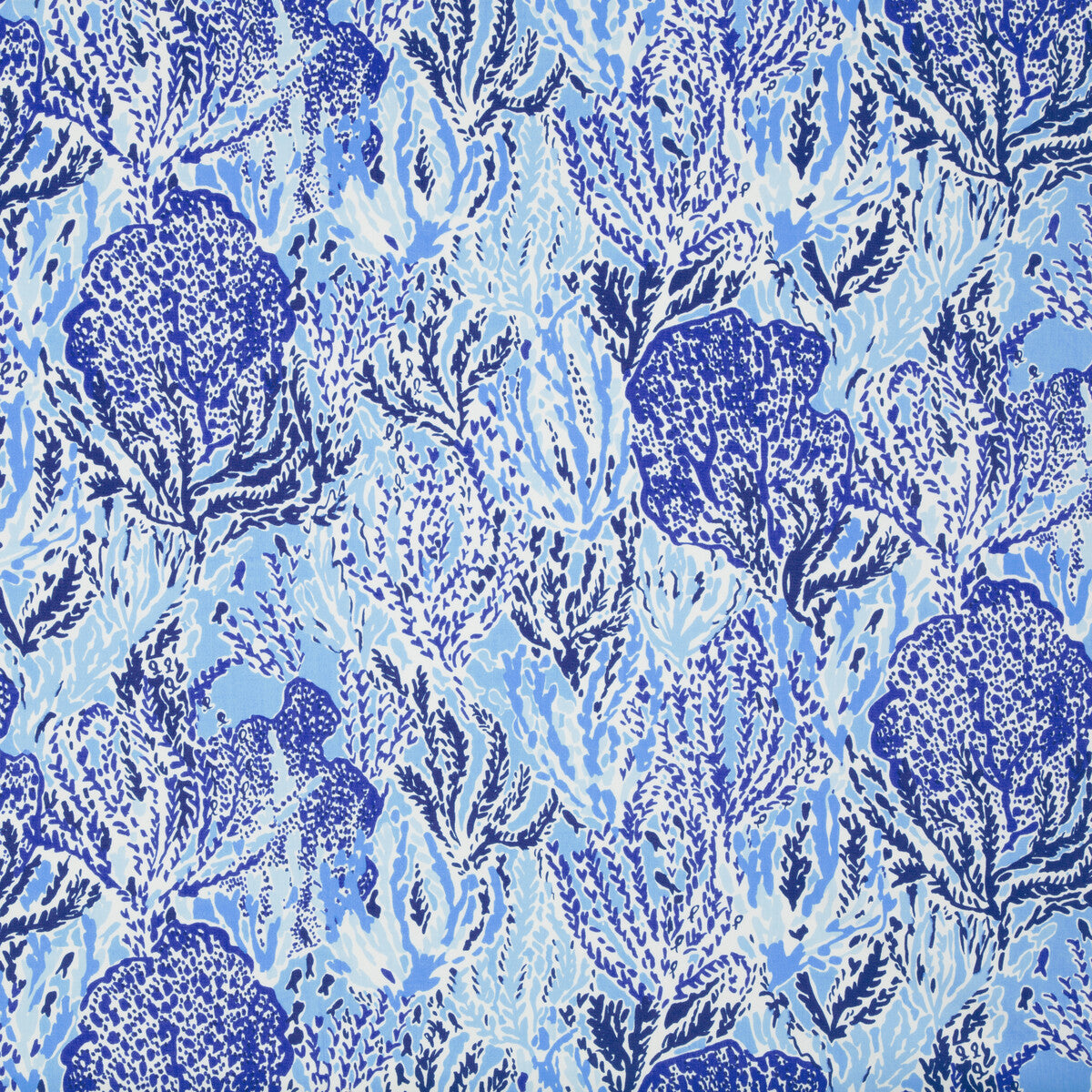 Let's Cha Cha-Beach Blue
