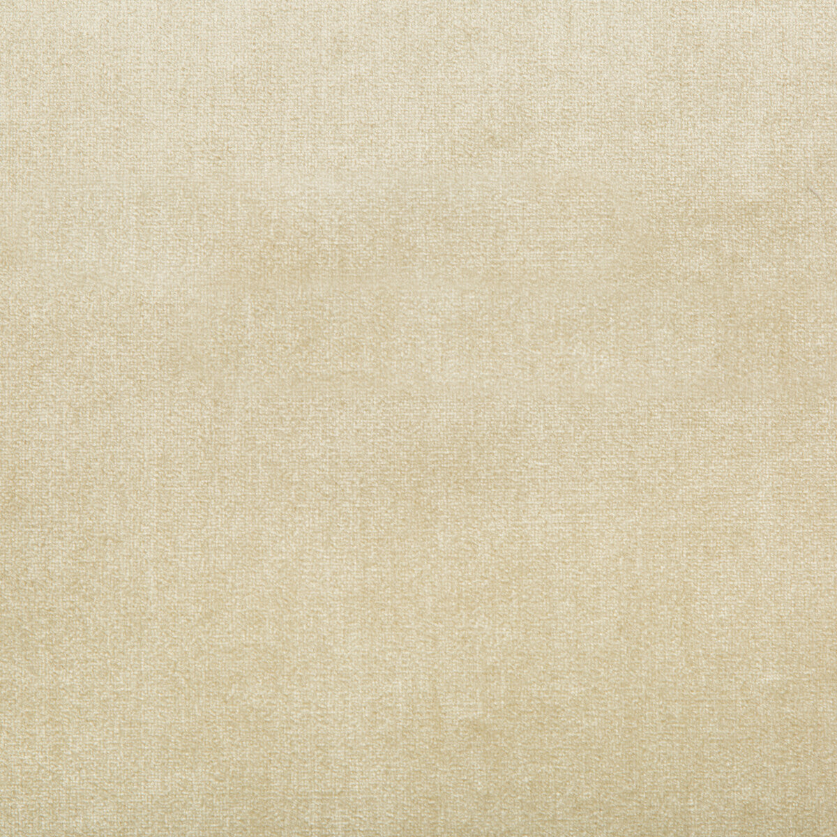 Duchess Velvet-Beige