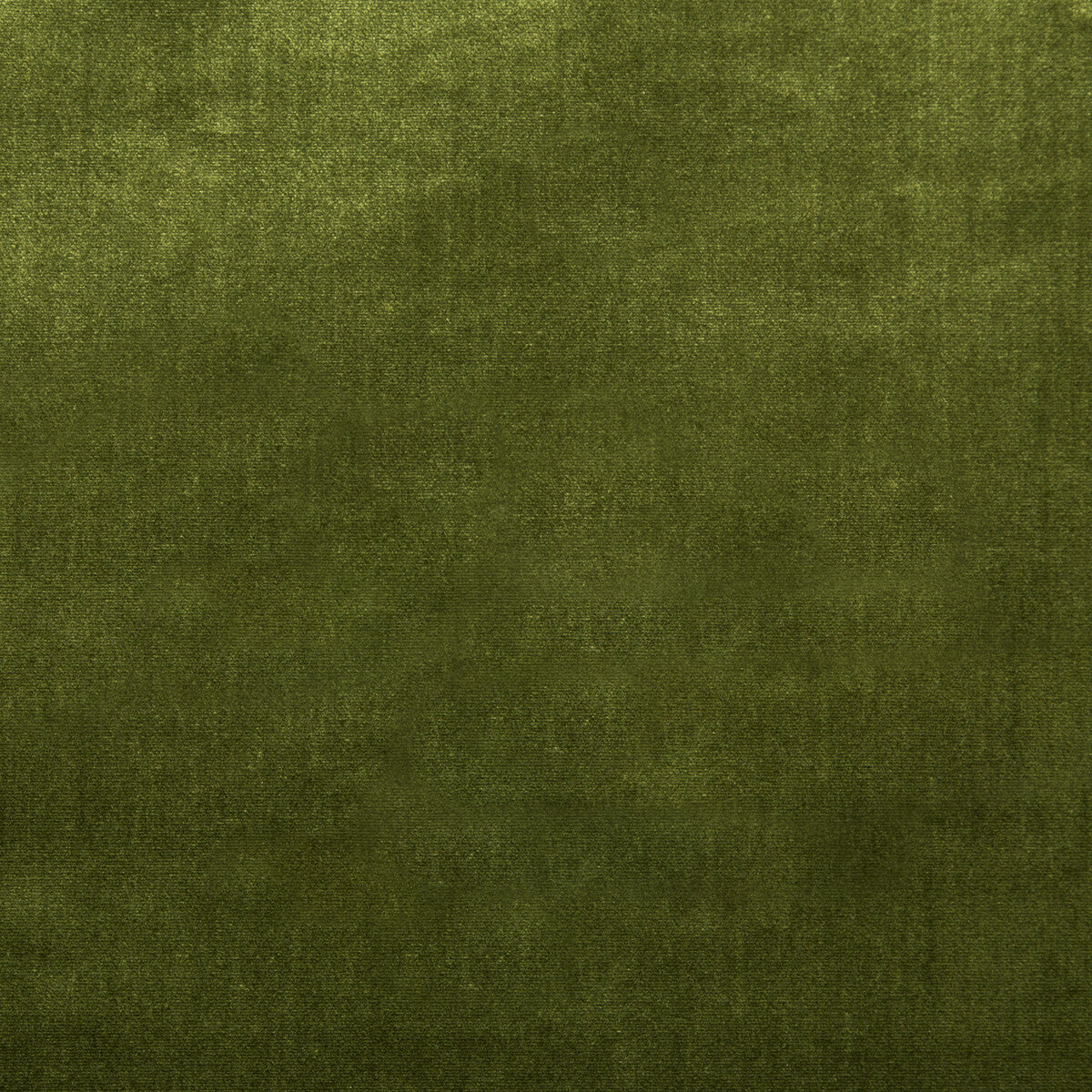 Duchess Velvet-Olive
