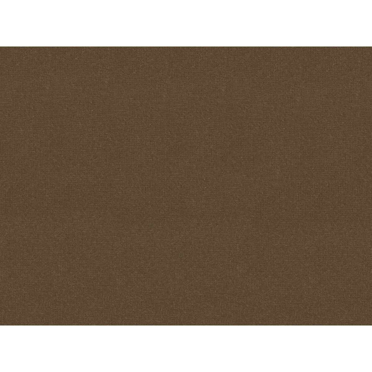 Oxford Velvet-Mocha