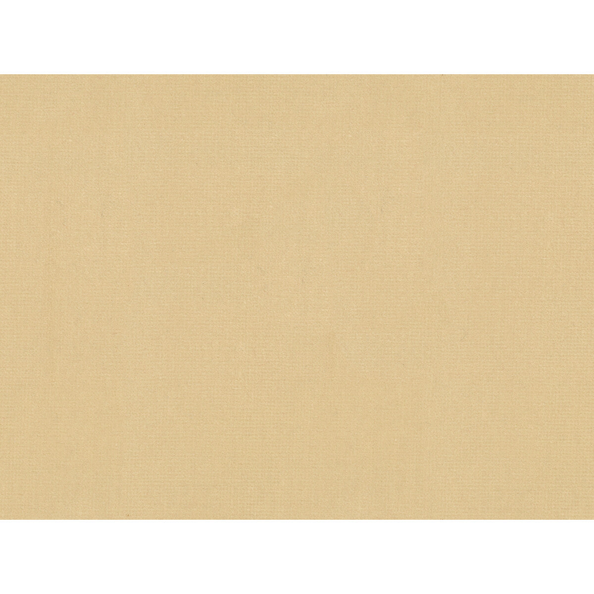 Oxford Velvet-Cream